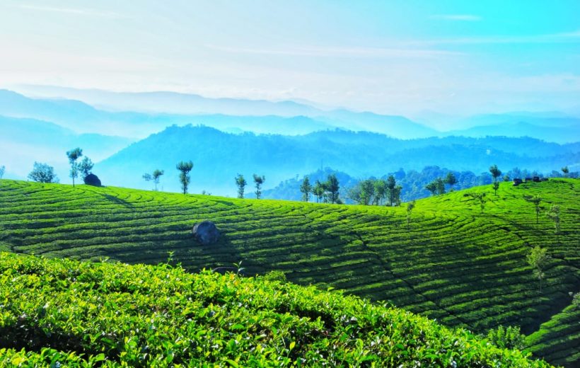 5 Days Amazing Kerala tour